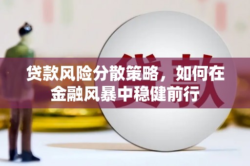 汤原贷款风险分散策略，如何在金融风暴中稳健前行