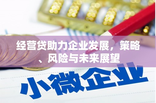汤原经营贷助力企业发展，策略、风险与未来展望