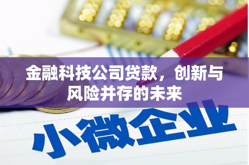 汤原金融科技公司贷款，创新与风险并存的未来