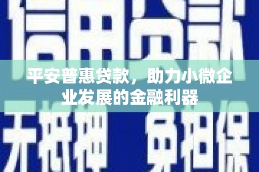 汤原平安普惠贷款，助力小微企业发展的金融利器