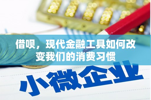 汤原借呗，现代金融工具如何改变我们的消费习惯