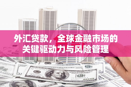 汤原外汇贷款，全球金融市场的关键驱动力与风险管理