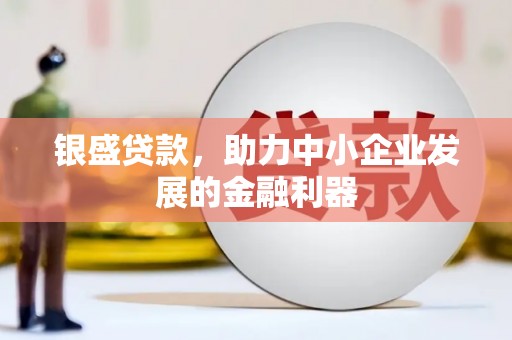汤原银盛贷款，助力中小企业发展的金融利器
