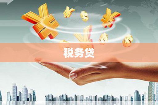 汤原税务贷