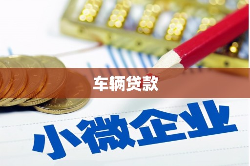 汤原车辆贷款