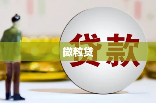 汤原微粒贷