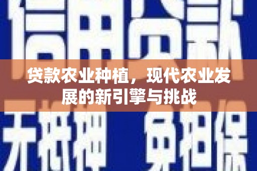 汤原贷款农业种植，现代农业发展的新引擎与挑战
