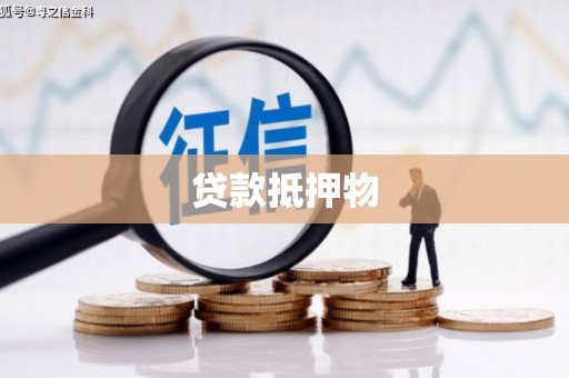 汤原贷款抵押物