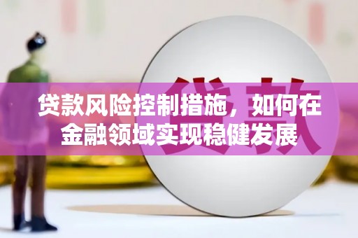 汤原贷款风险控制措施，如何在金融领域实现稳健发展