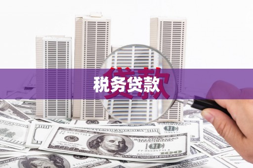汤原税务贷款