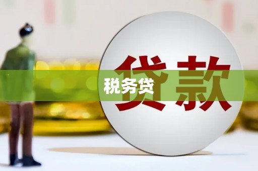 汤原税务贷