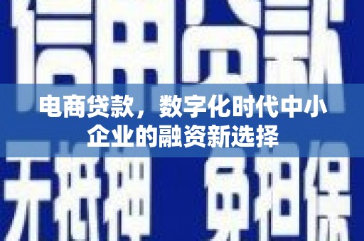 汤原电商贷款，数字化时代中小企业的融资新选择