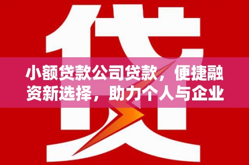 汤原小额贷款公司贷款，便捷融资新选择，助力个人与企业成长