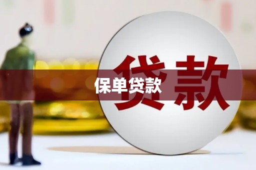 汤原保单贷款