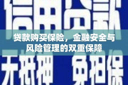汤原贷款购买保险，金融安全与风险管理的双重保障