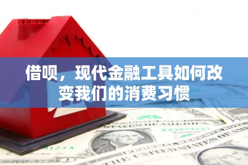 汤原借呗，现代金融工具如何改变我们的消费习惯