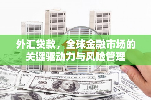 汤原外汇贷款，全球金融市场的关键驱动力与风险管理