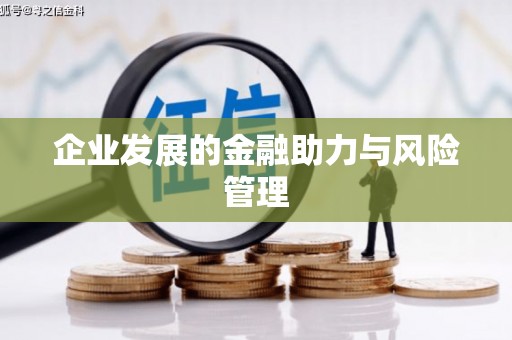 汤原企业发展的金融助力与风险管理