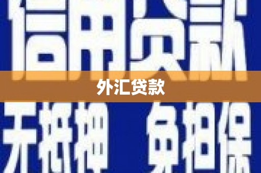 汤原外汇贷款