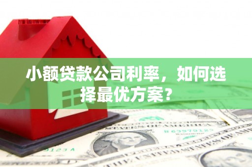 汤原小额贷款公司利率，如何选择最优方案？