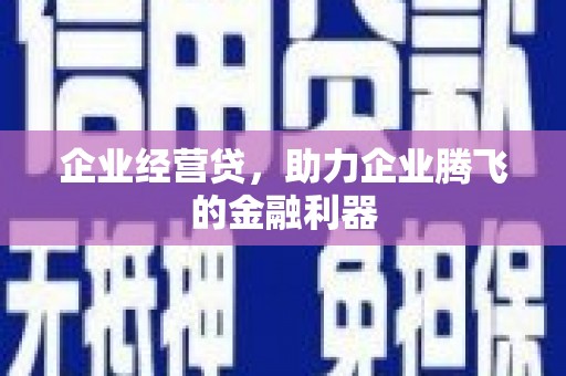 汤原企业经营贷，助力企业腾飞的金融利器