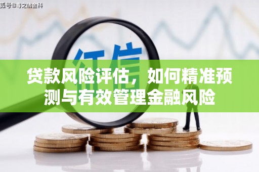 汤原贷款风险评估，如何精准预测与有效管理金融风险