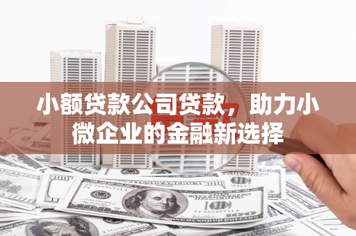 汤原小额贷款公司贷款，助力小微企业的金融新选择