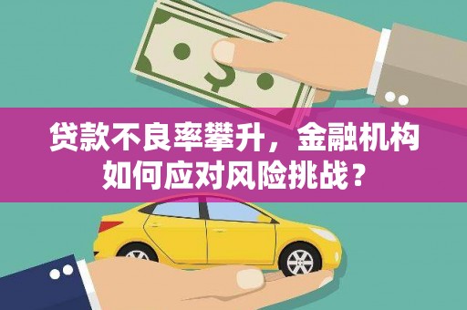 汤原贷款不良率攀升，金融机构如何应对风险挑战？