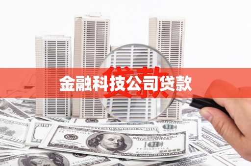 汤原金融科技公司贷款
