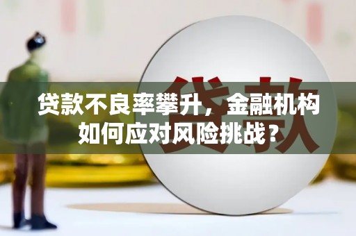 汤原贷款不良率攀升，金融机构如何应对风险挑战？