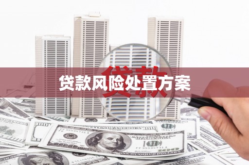 汤原贷款风险处置方案