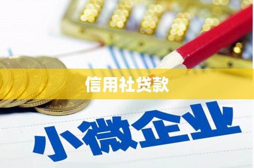 汤原信用社贷款