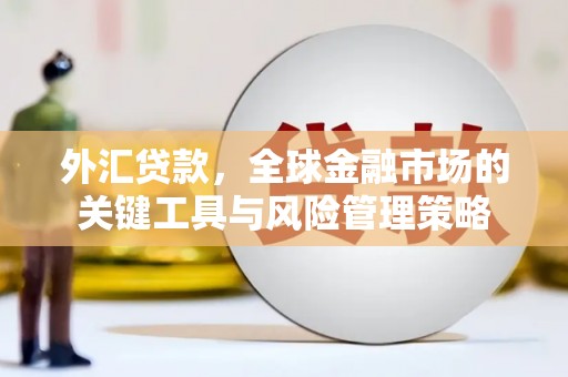 汤原外汇贷款，全球金融市场的关键工具与风险管理策略