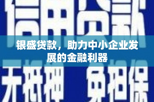 汤原银盛贷款，助力中小企业发展的金融利器
