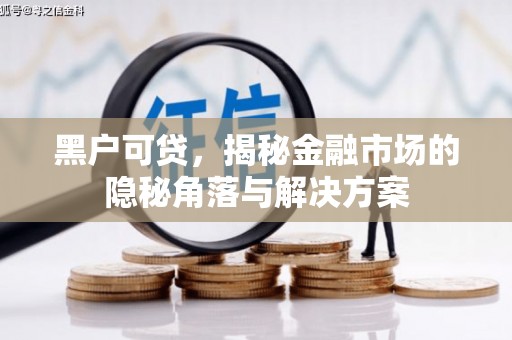 汤原黑户可贷，揭秘金融市场的隐秘角落与解决方案