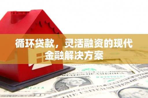 汤原循环贷款，灵活融资的现代金融解决方案