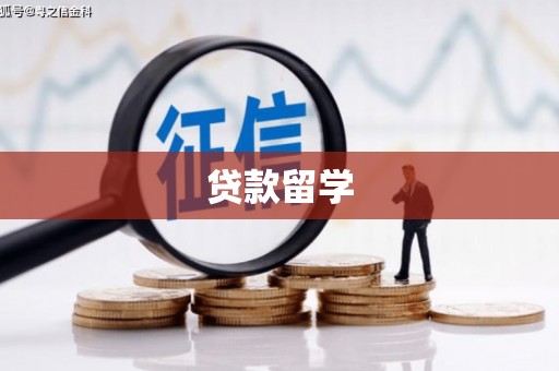 汤原贷款留学