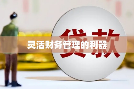 汤原灵活财务管理的利器