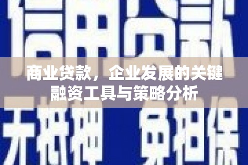 汤原商业贷款，企业发展的关键融资工具与策略分析