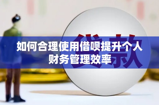 汤原如何合理使用借呗提升个人财务管理效率