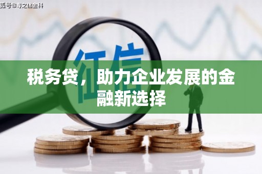 汤原税务贷，助力企业发展的金融新选择