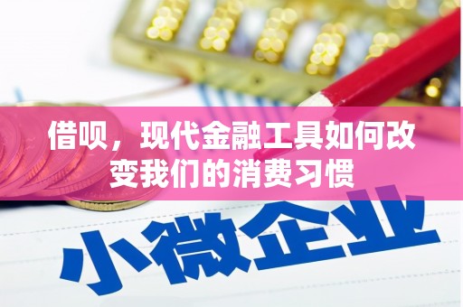 汤原借呗，现代金融工具如何改变我们的消费习惯