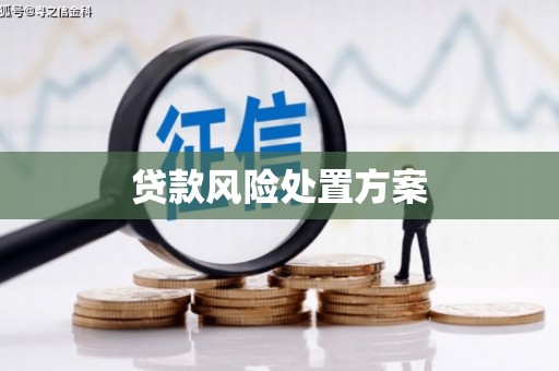 汤原贷款风险处置方案
