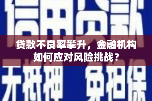 汤原贷款不良率攀升，金融机构如何应对风险挑战？
