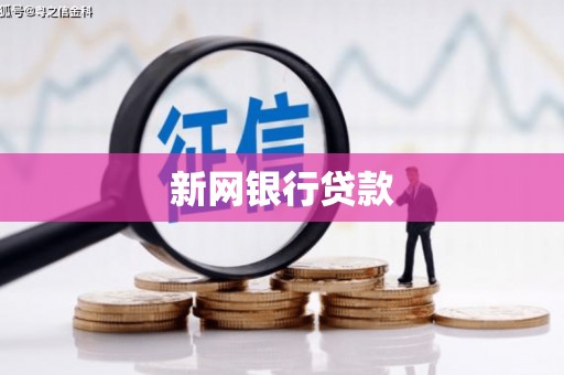 汤原新网银行贷款