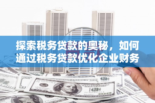汤原探索税务贷款的奥秘，如何通过税务贷款优化企业财务