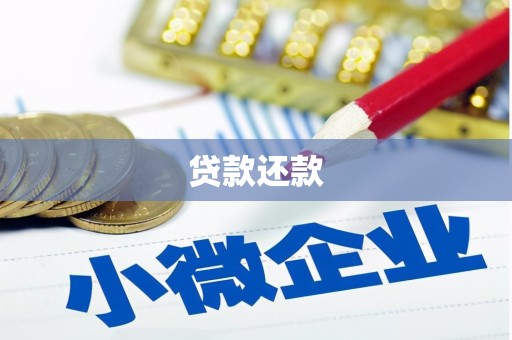 汤原贷款还款