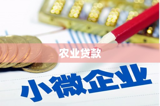 汤原农业贷款