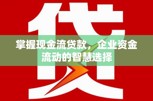 汤原掌握现金流贷款，企业资金流动的智慧选择