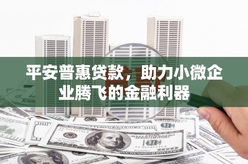 汤原平安普惠贷款，助力小微企业腾飞的金融利器